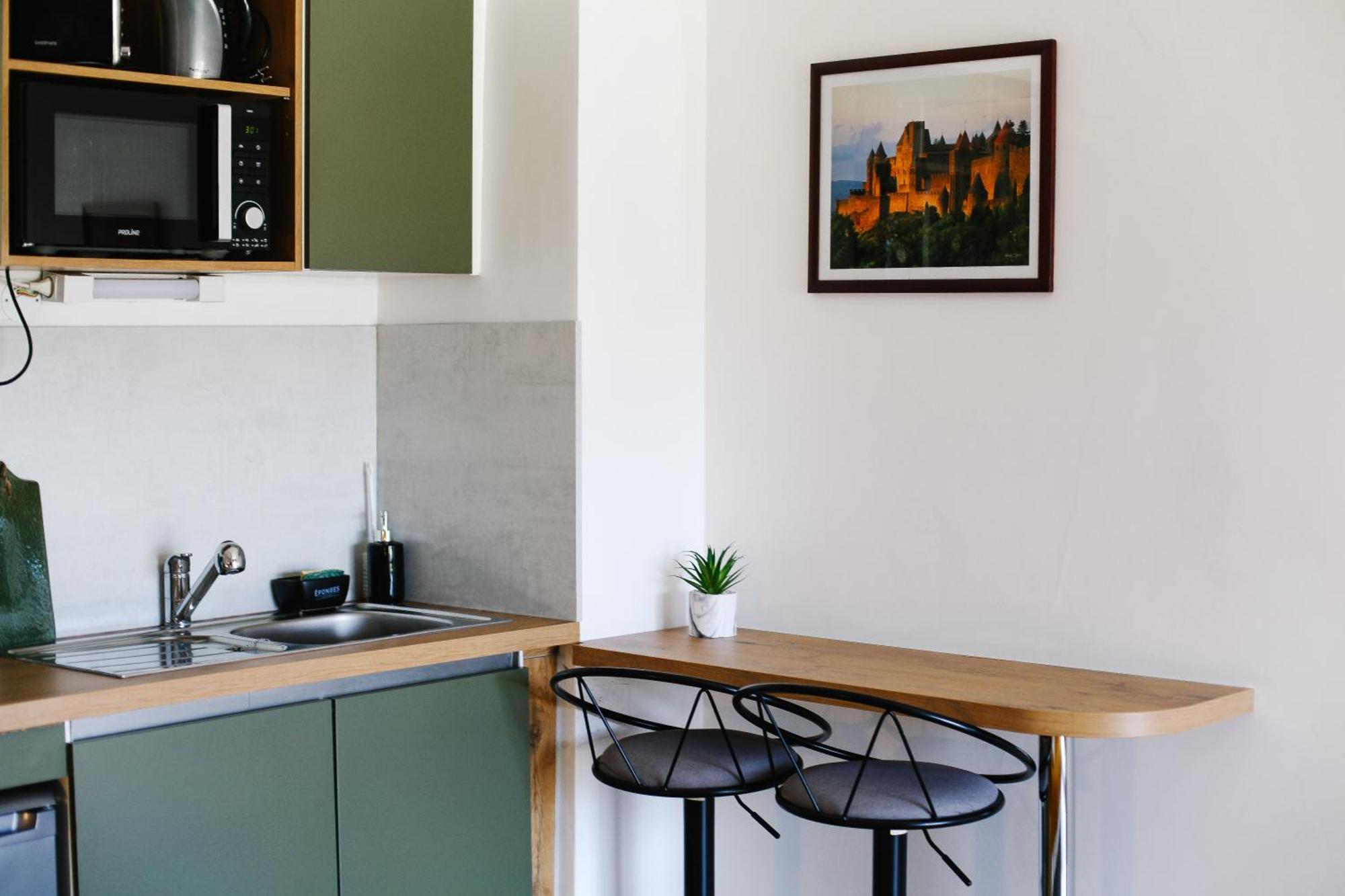 Studio Avec Parking Vue Sur La Cite De Каркассон Экстерьер фото